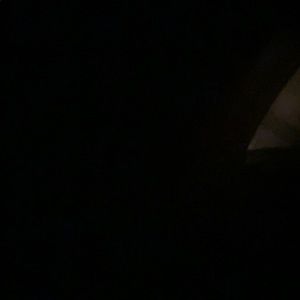 Meet your Posher, Rico